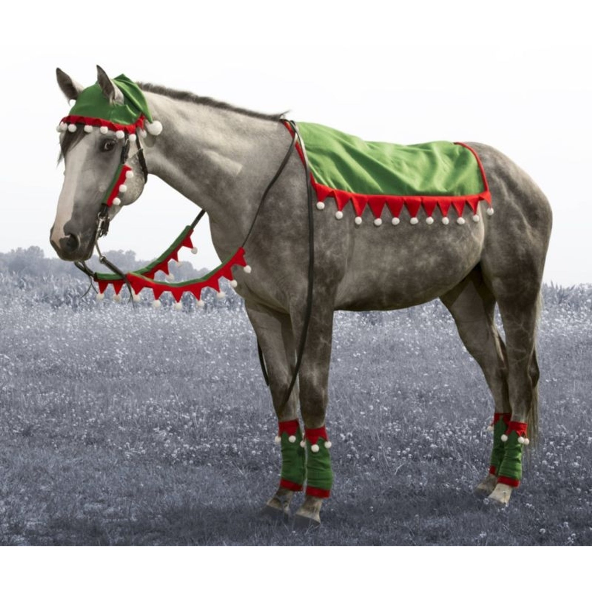 Tough1 5 Piece Western Holiday Set Elf