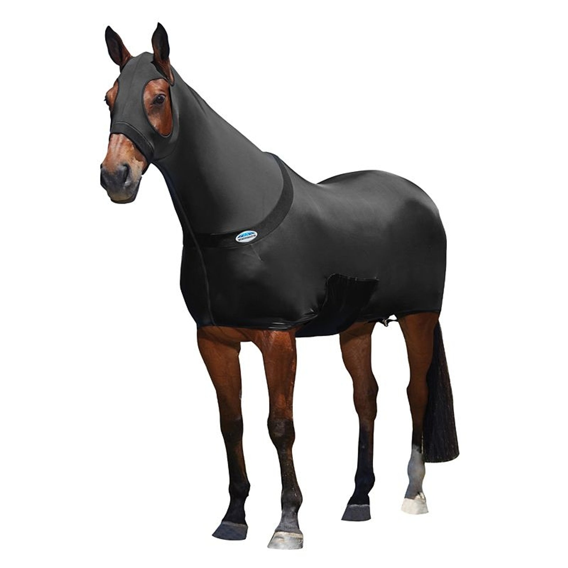 Weatherbeeta Stretch Blanket
