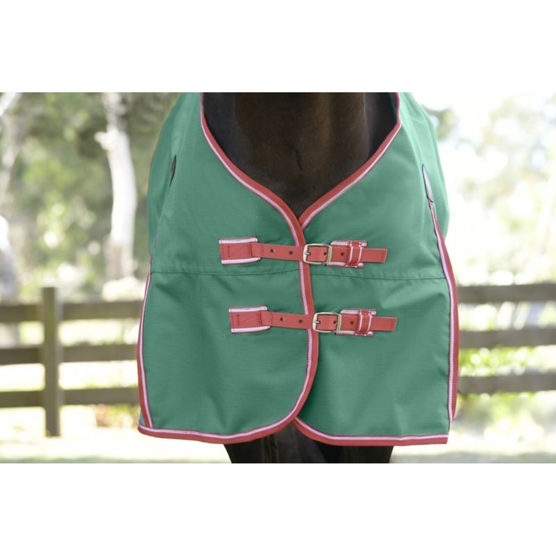 Weatherbeeta ComFiTec Prelim Standard Neck Medium