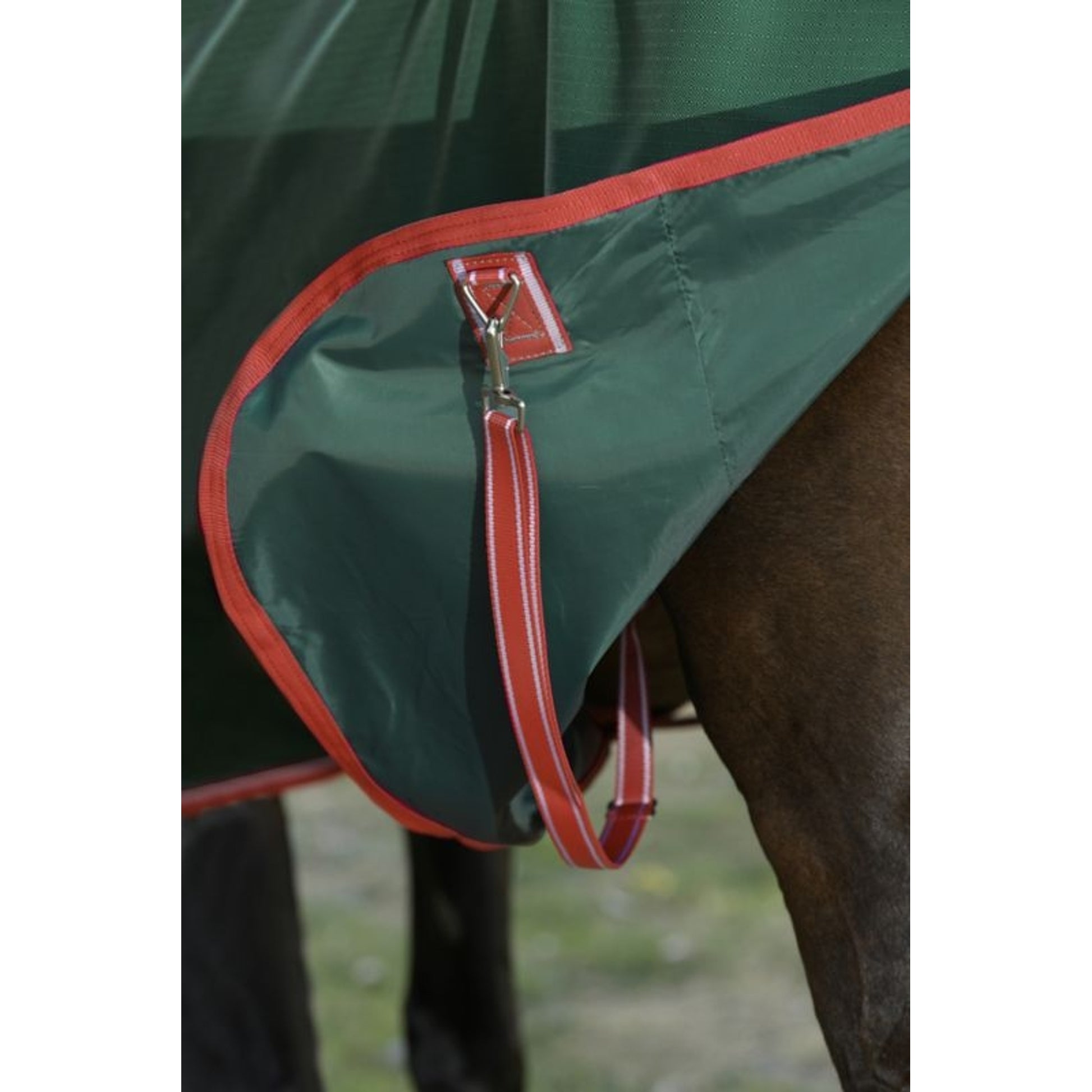 Weatherbeeta ComFiTec Prelim Standard Neck Medium