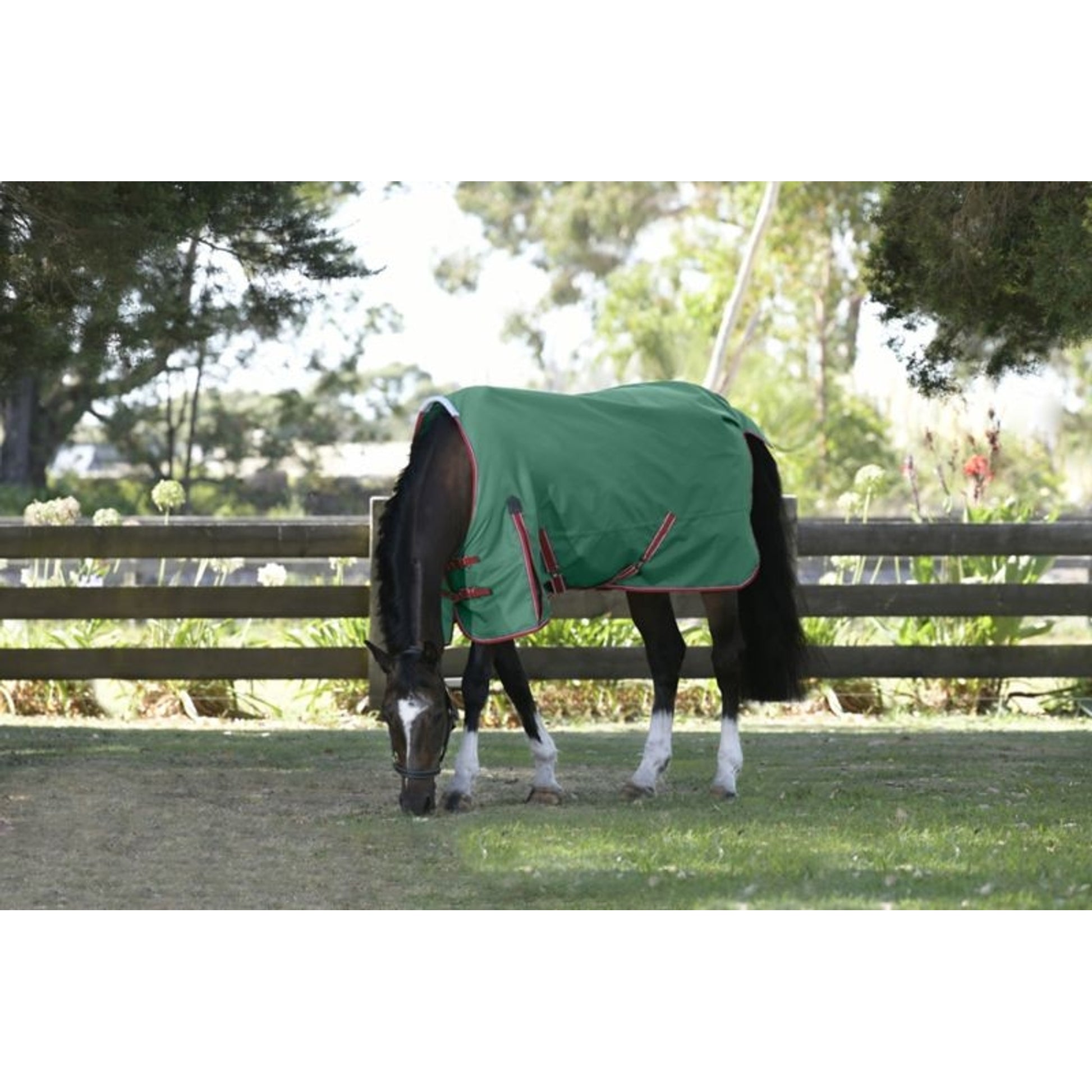 Weatherbeeta ComFiTec Prelim Standard Neck Lite