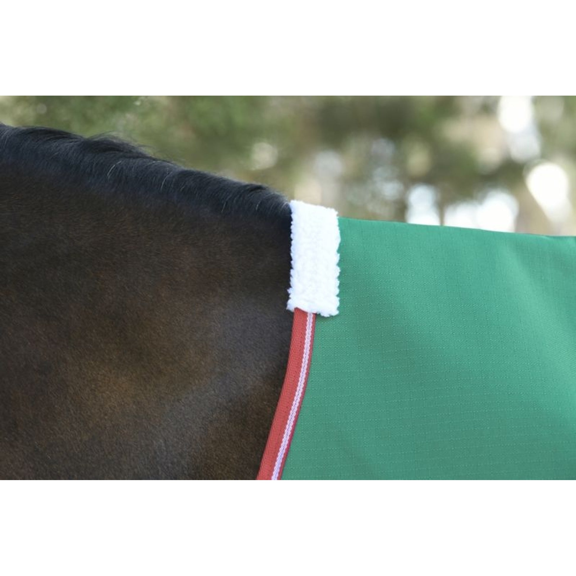 Weatherbeeta ComFiTec Prelim Standard Neck Lite