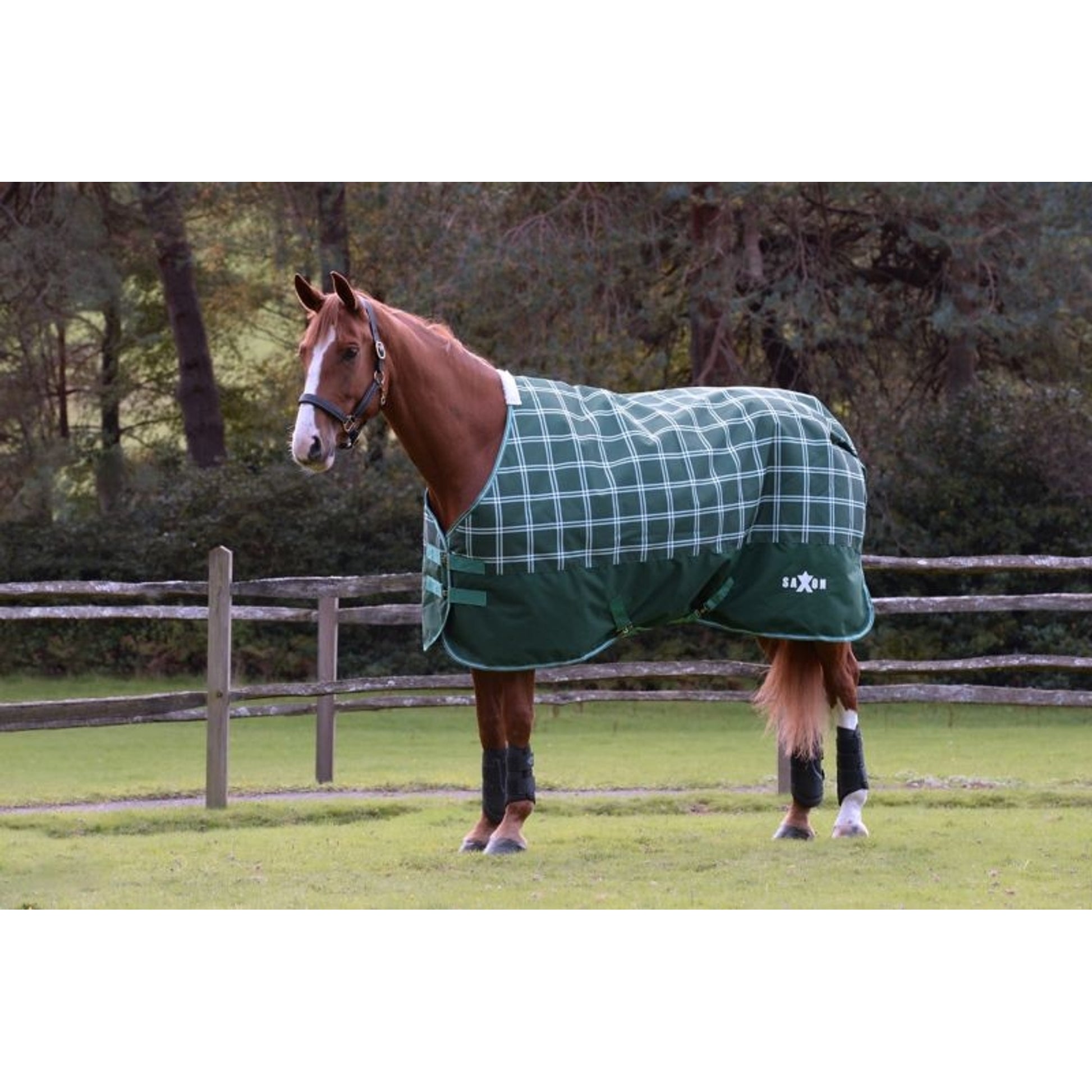 Saxon Defiant 1200D Stand Med TO