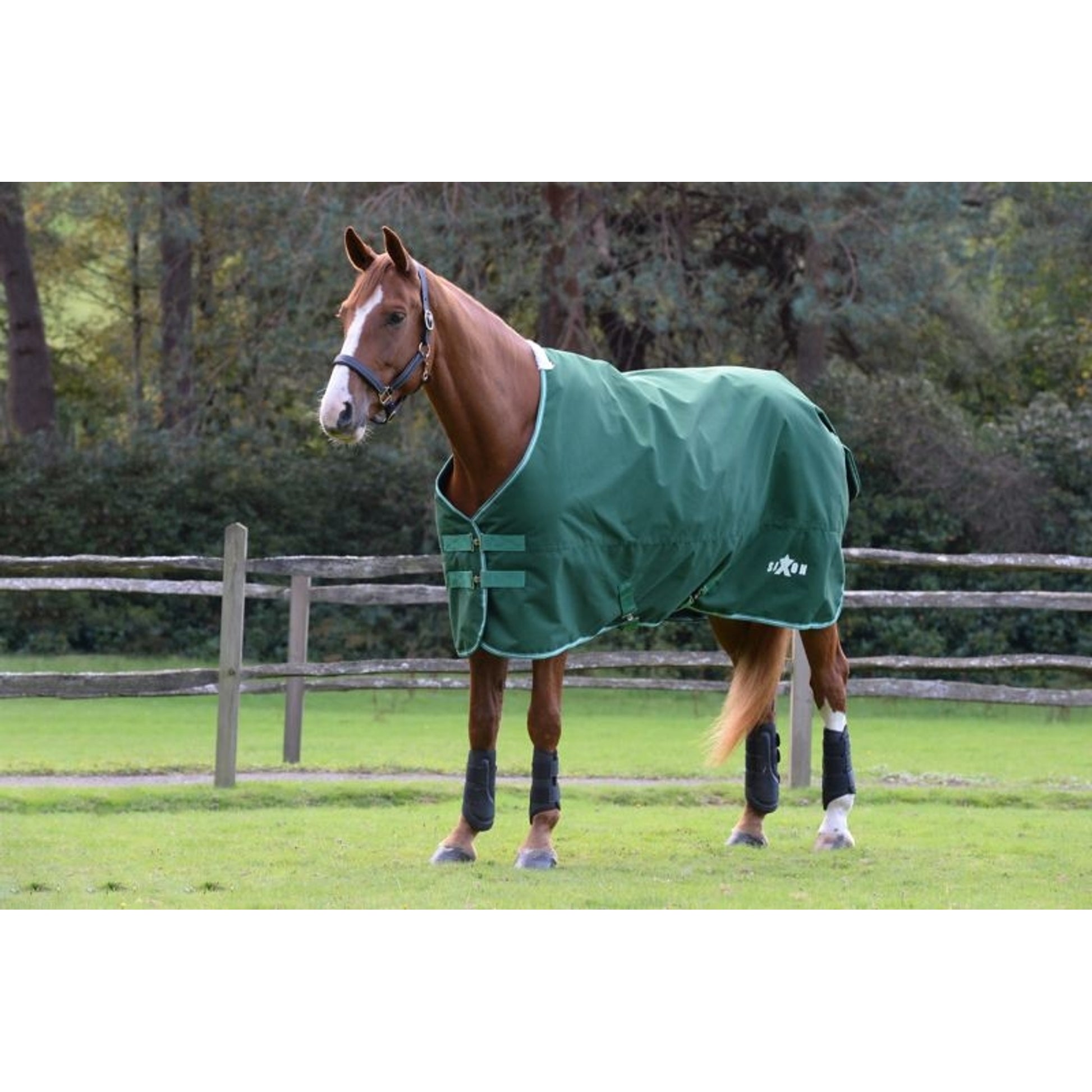 Saxon Defiant 1200D Stand Lite TO