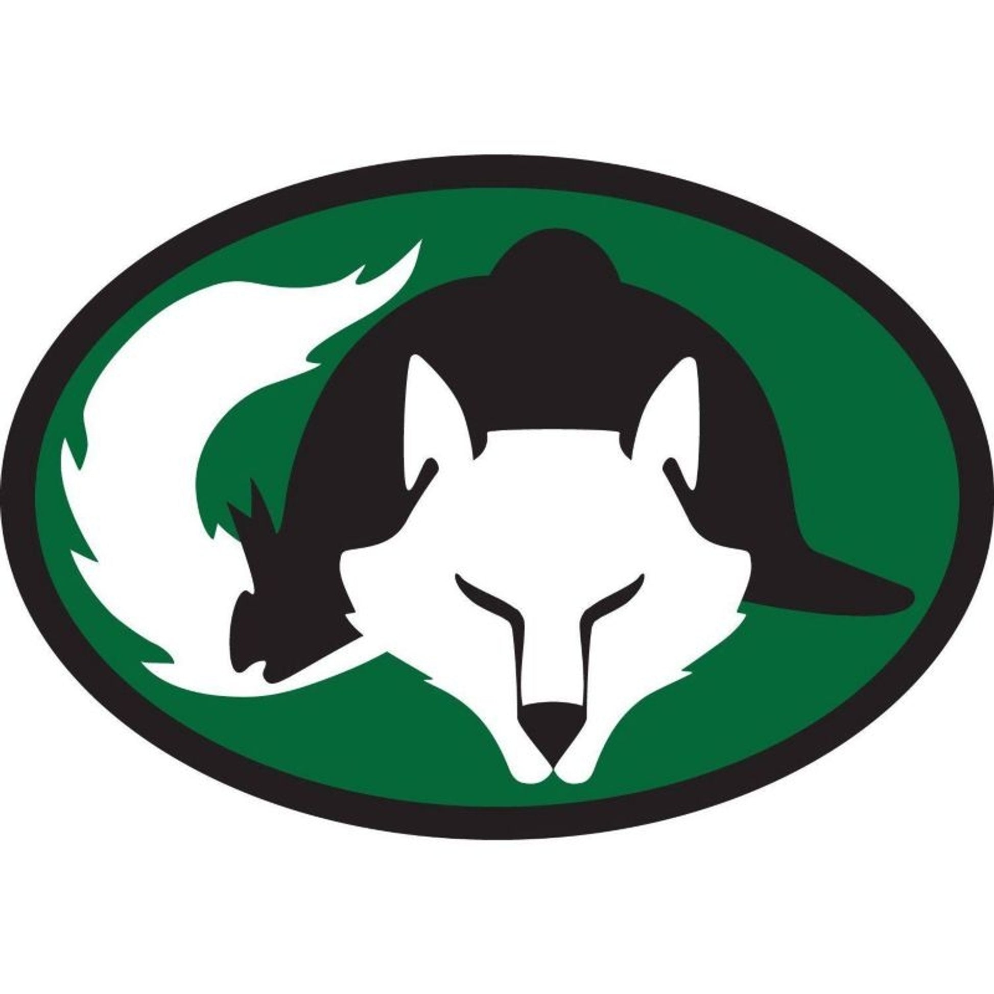 Euro Fox Helmet Vinyl Stickers Set Of 3