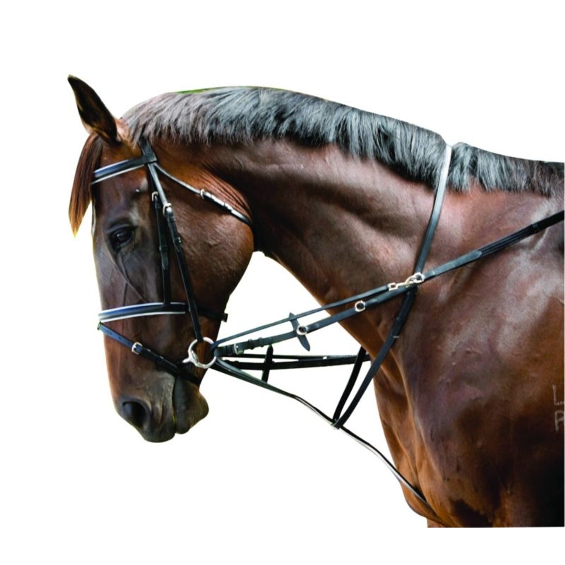 Kincade Web German Martingale Set Full Black