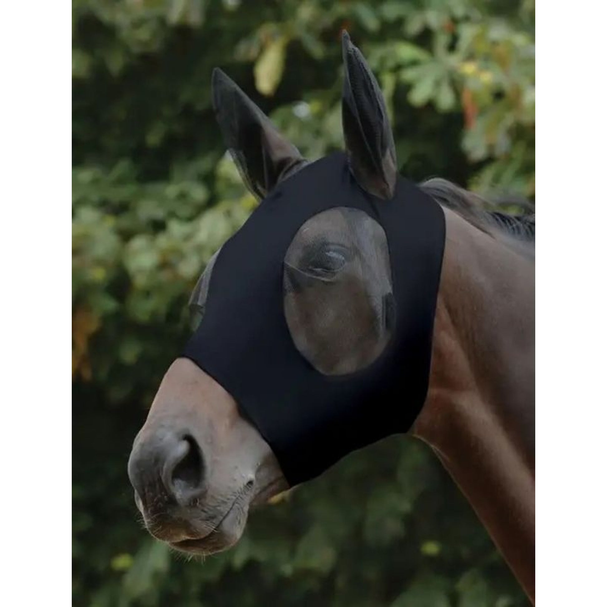 WeatherBeeta Stretch Bug Eye Saver With Ears