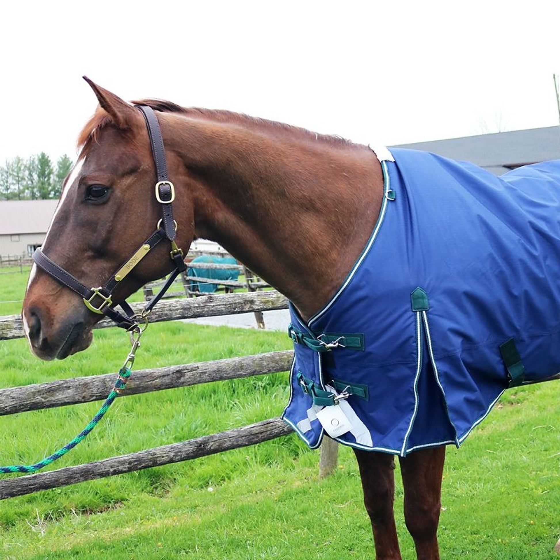 Pro-Trainer 100G TO Blanket with Neck Cover 1200D
