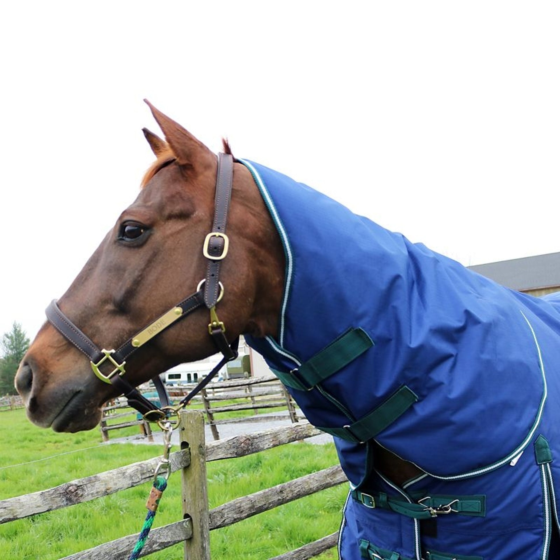 Pro-Trainer 100G TO Blanket with Neck Cover 1200D