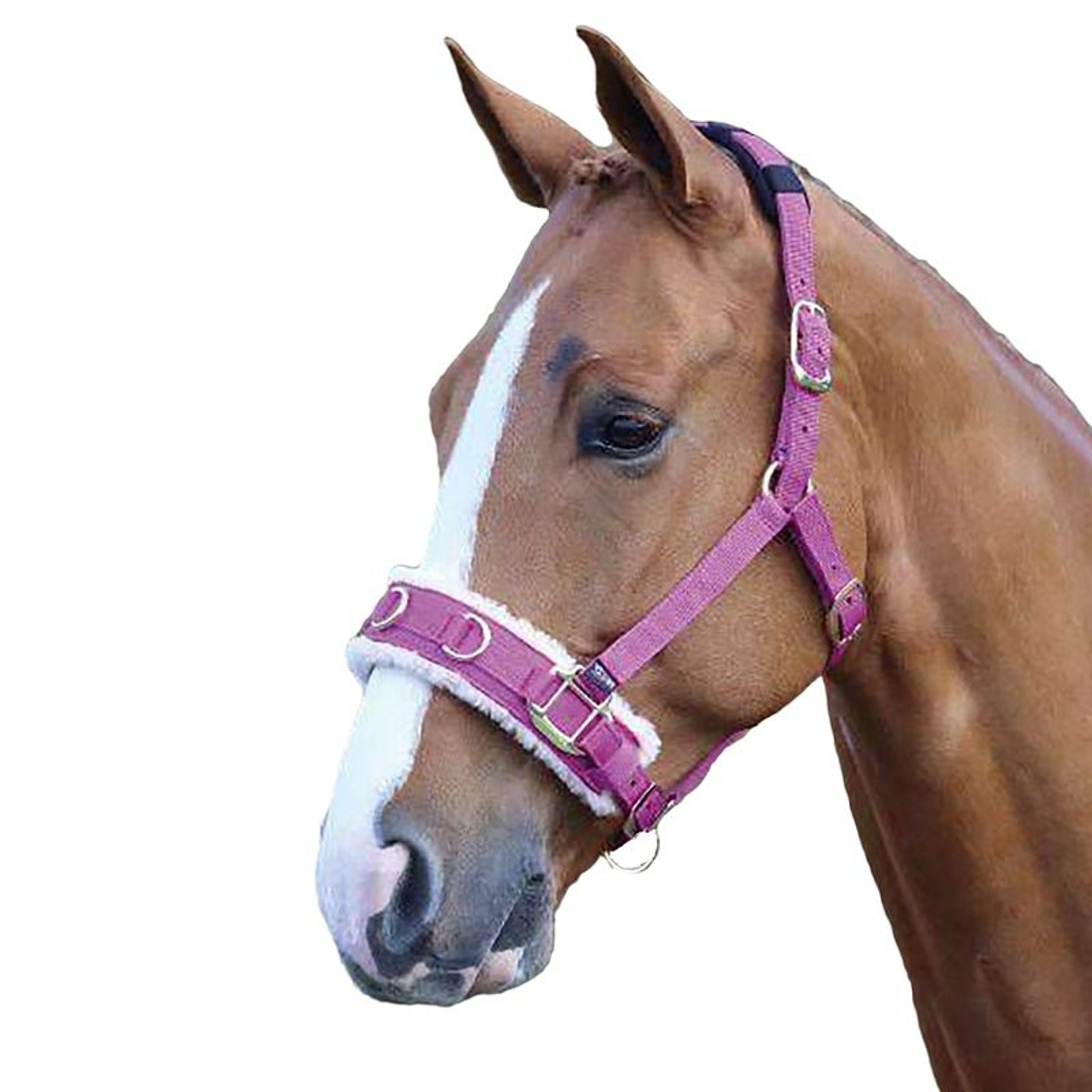 Shires Fleece Lined Lunge Cavesson