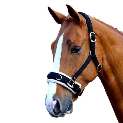 Shires Fleece Lined Lunge Cavesson
