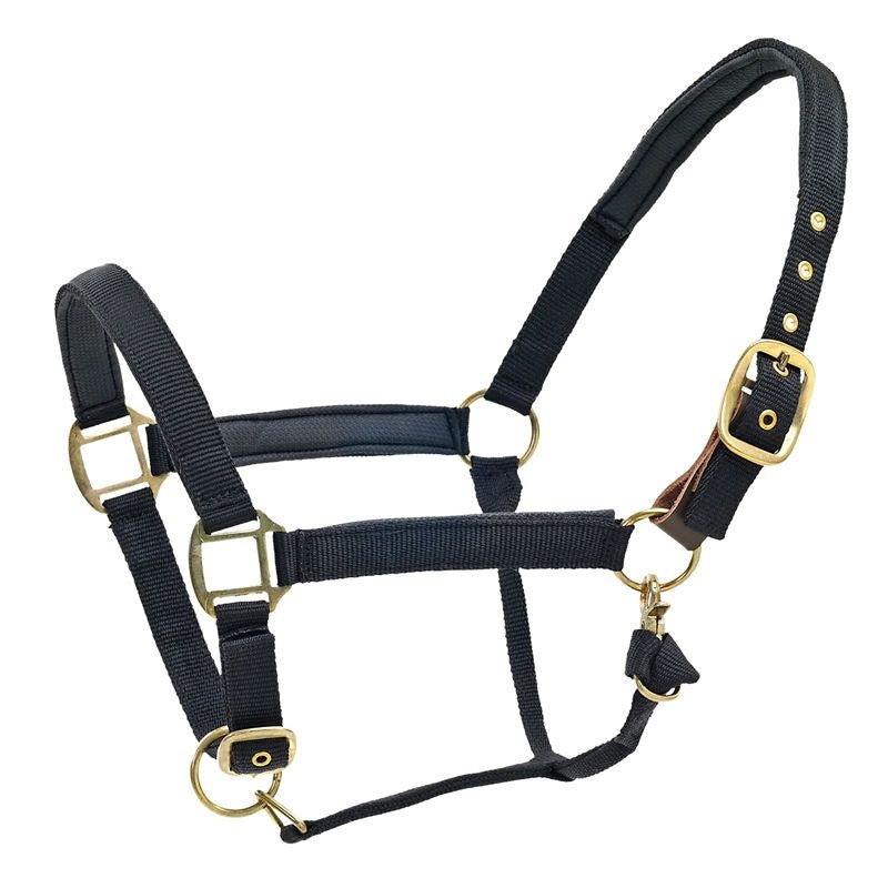 Centaur Super Padded Comfort Halter