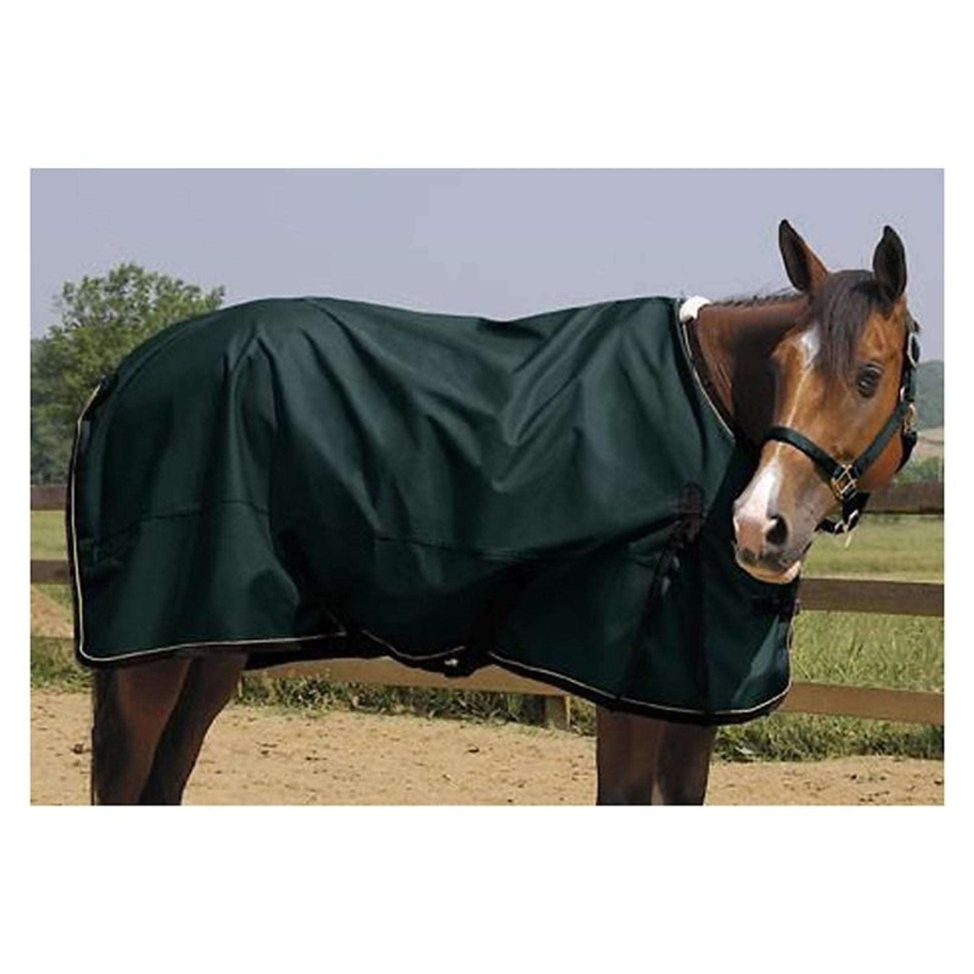 Helios Full Body Reflective Dog Snowsuit