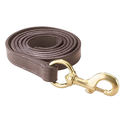 Perris 6Ft Leather Lead with Snap