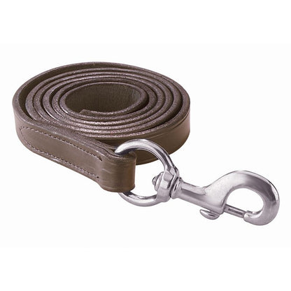 Perris 6Ft Leather Lead with Snap