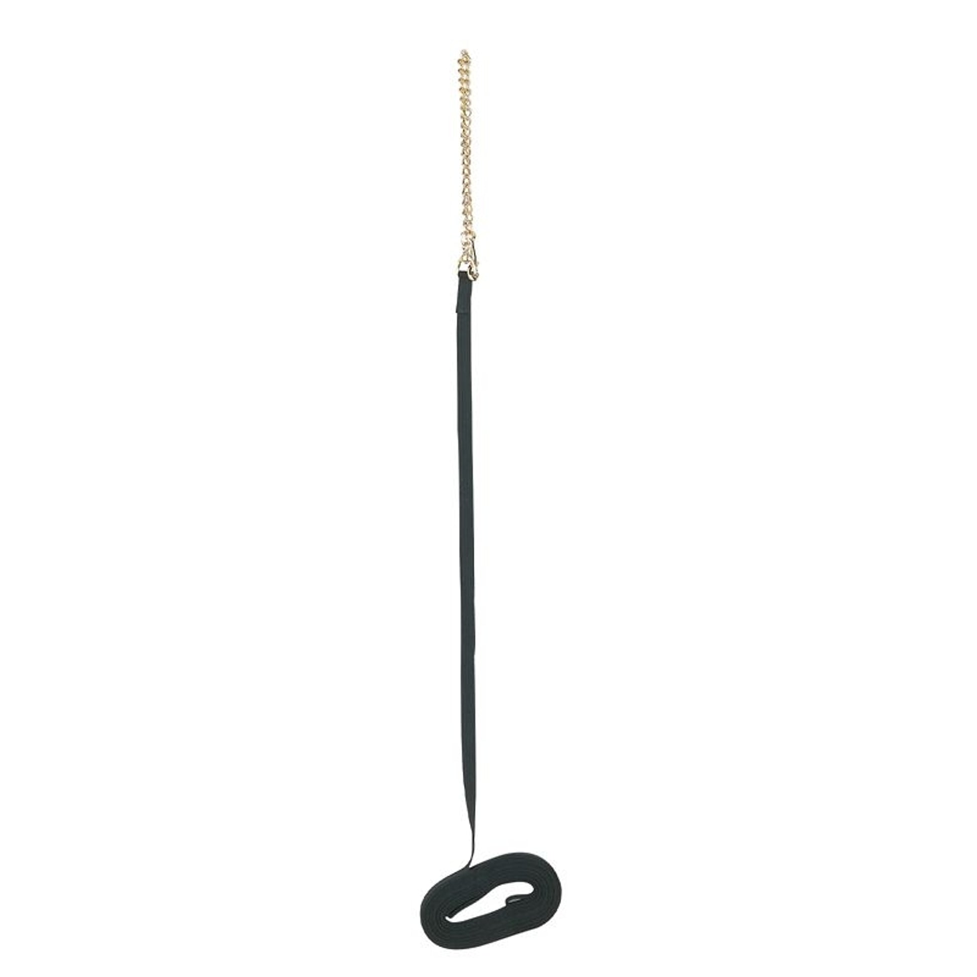 Perris Black Cotton 30Ft Lunge Line with Chain