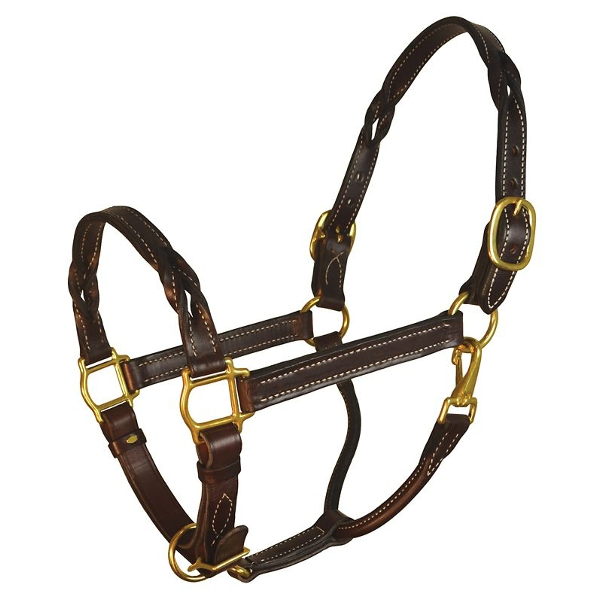 Perris Havana Twisted Leather Halter