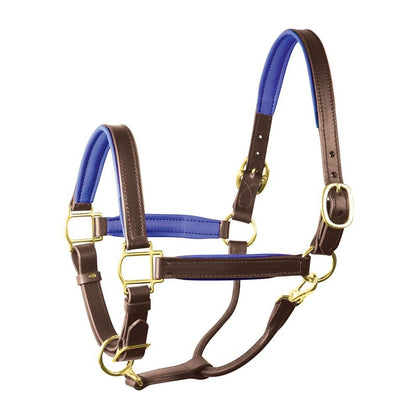 Perri's Soft Padded Leather Halter
