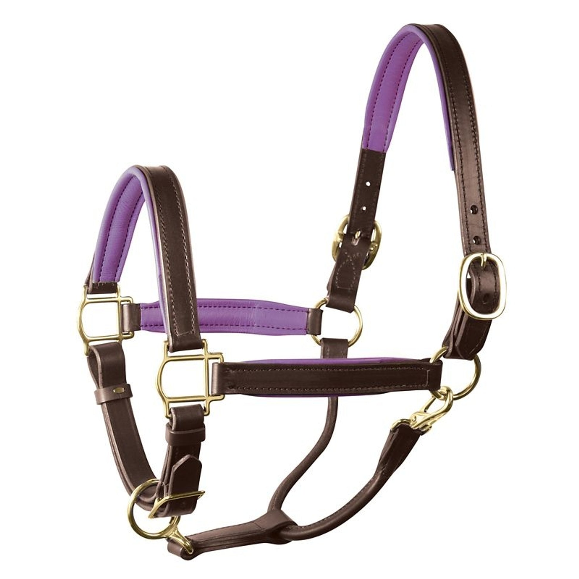 Perri's Soft Padded Leather Halter