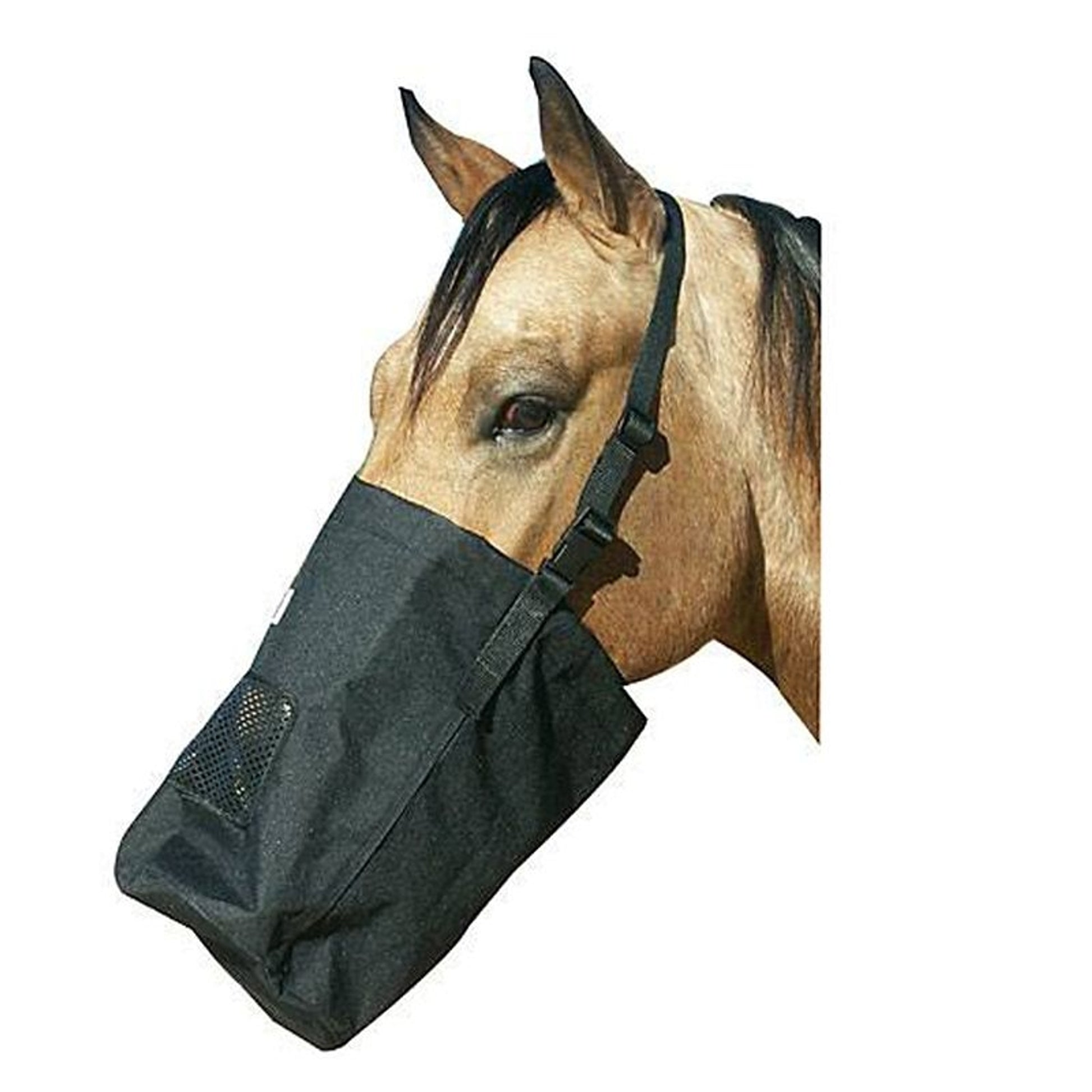 Best Friend Feed Bag