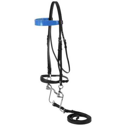 Silver Fox Walking Horse Bridle