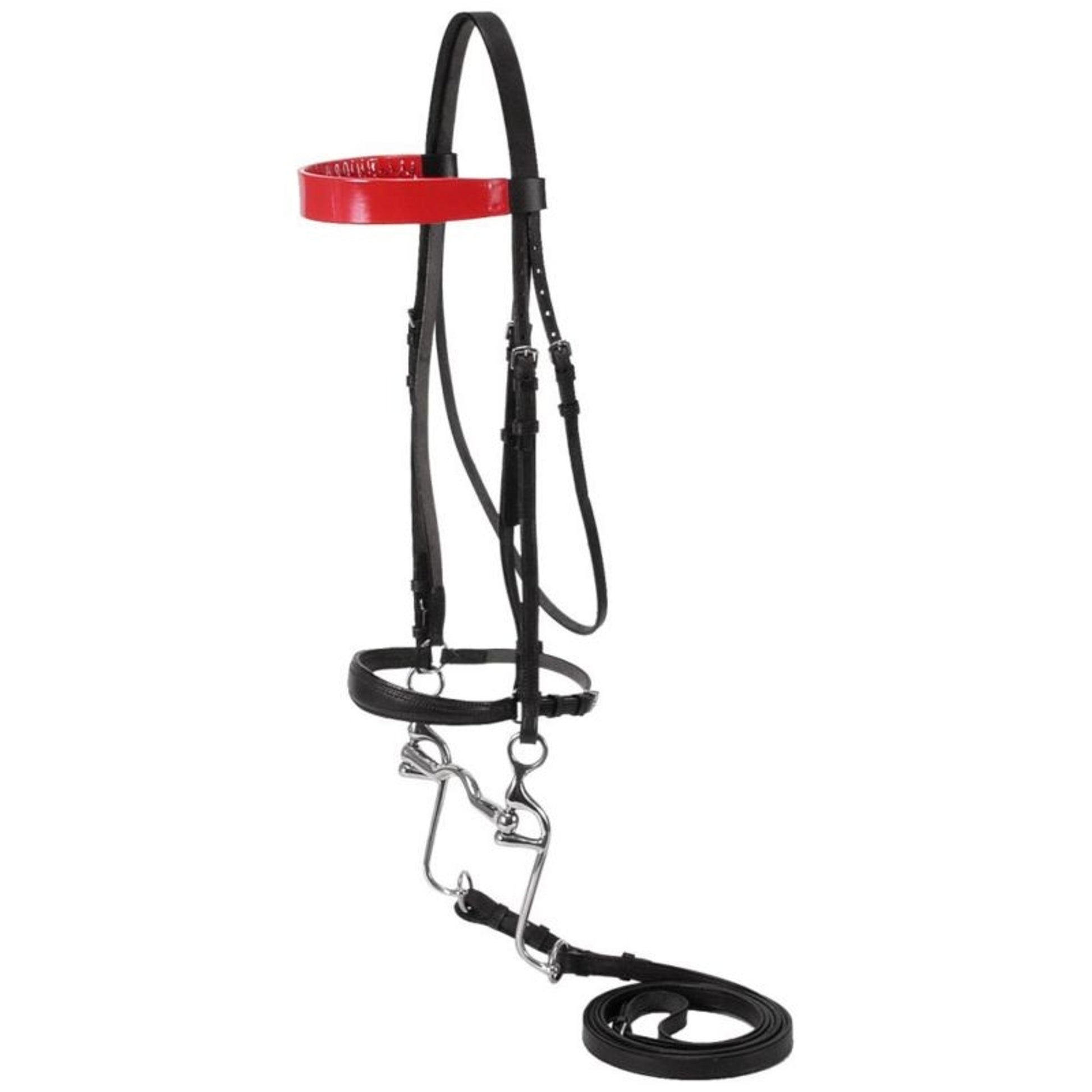 Silver Fox Walking Horse Bridle