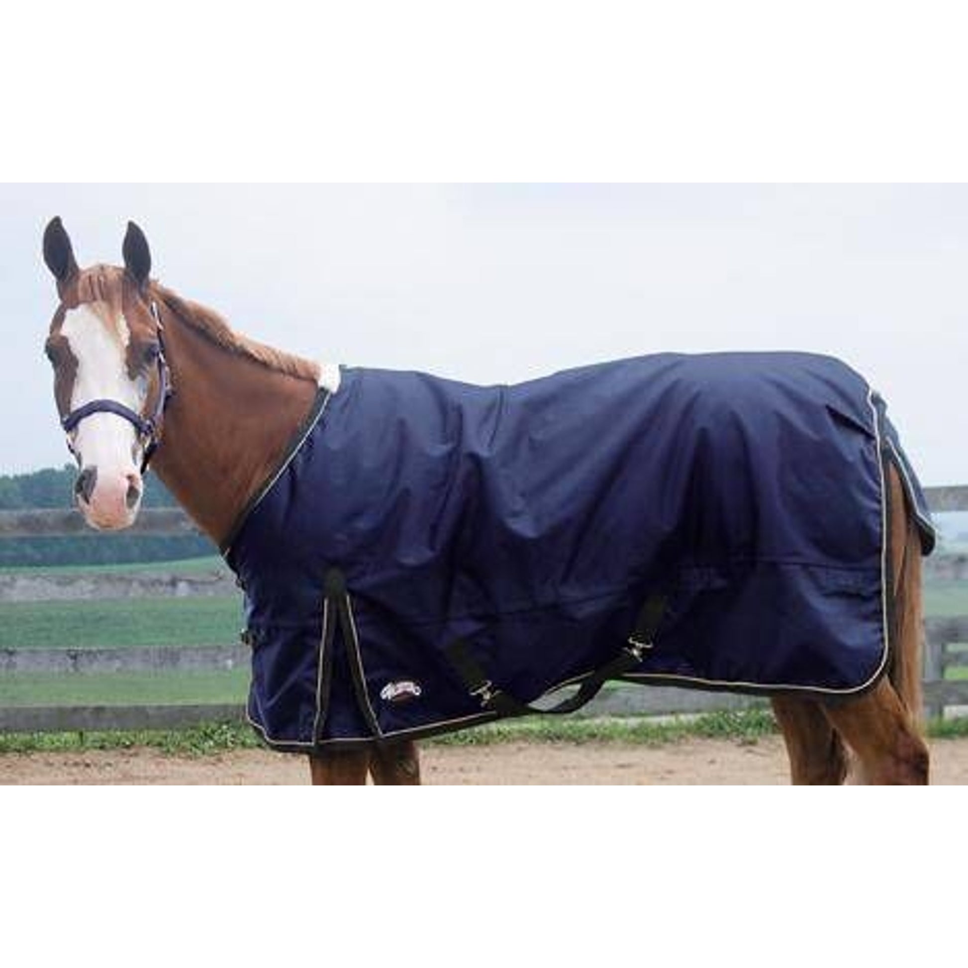 600D Ripstop Waterproof T/O Blanket