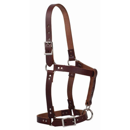Weaver Riveted Halter with CatchStrap