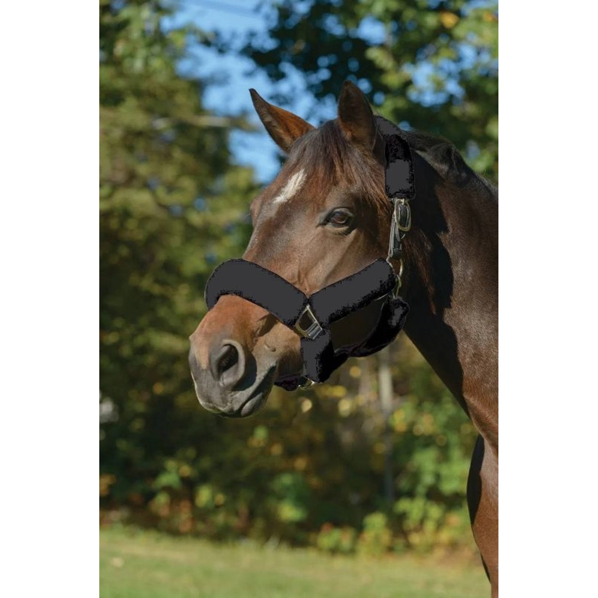 Shires ARMA SupaFleece Halter Set