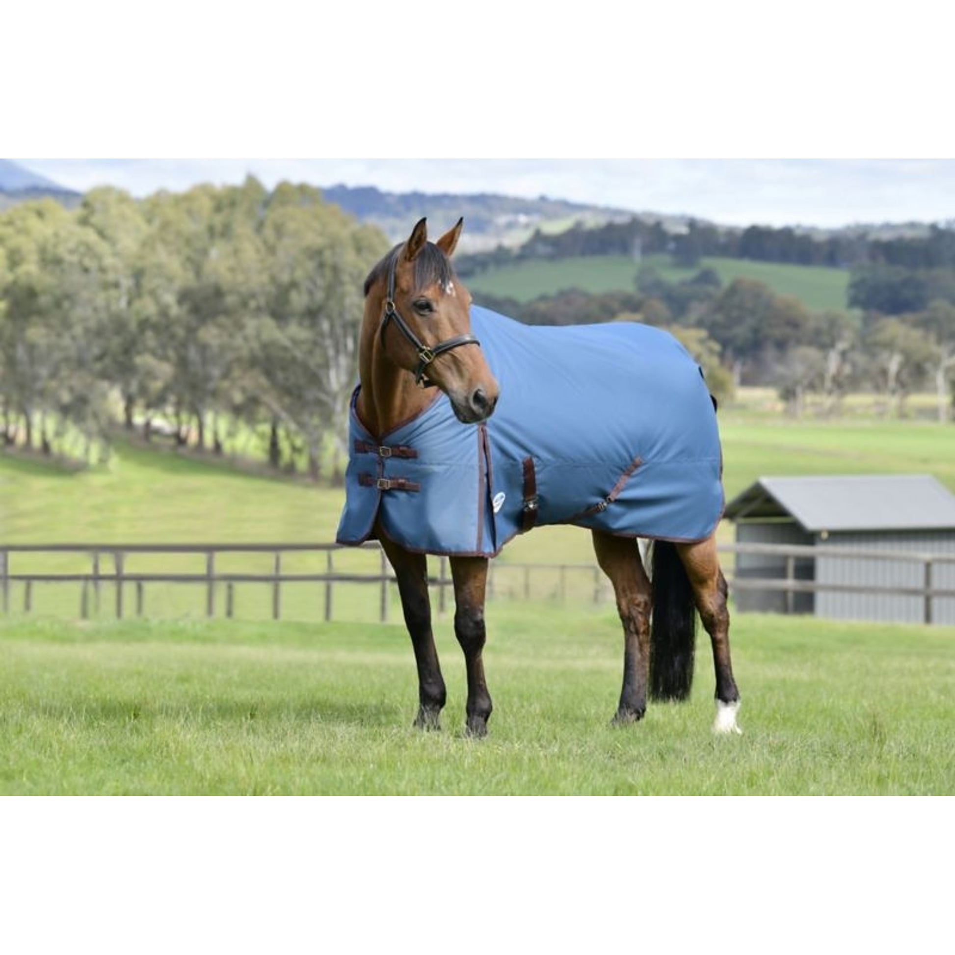 Weatherbeeta ComFiTec Classic Standard Neck Lite Plus Turnout