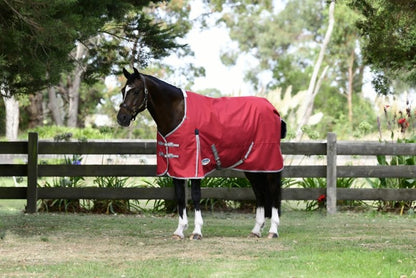 Weatherbeeta ComFiTec Classic Standard Neck Lite Plus Turnout
