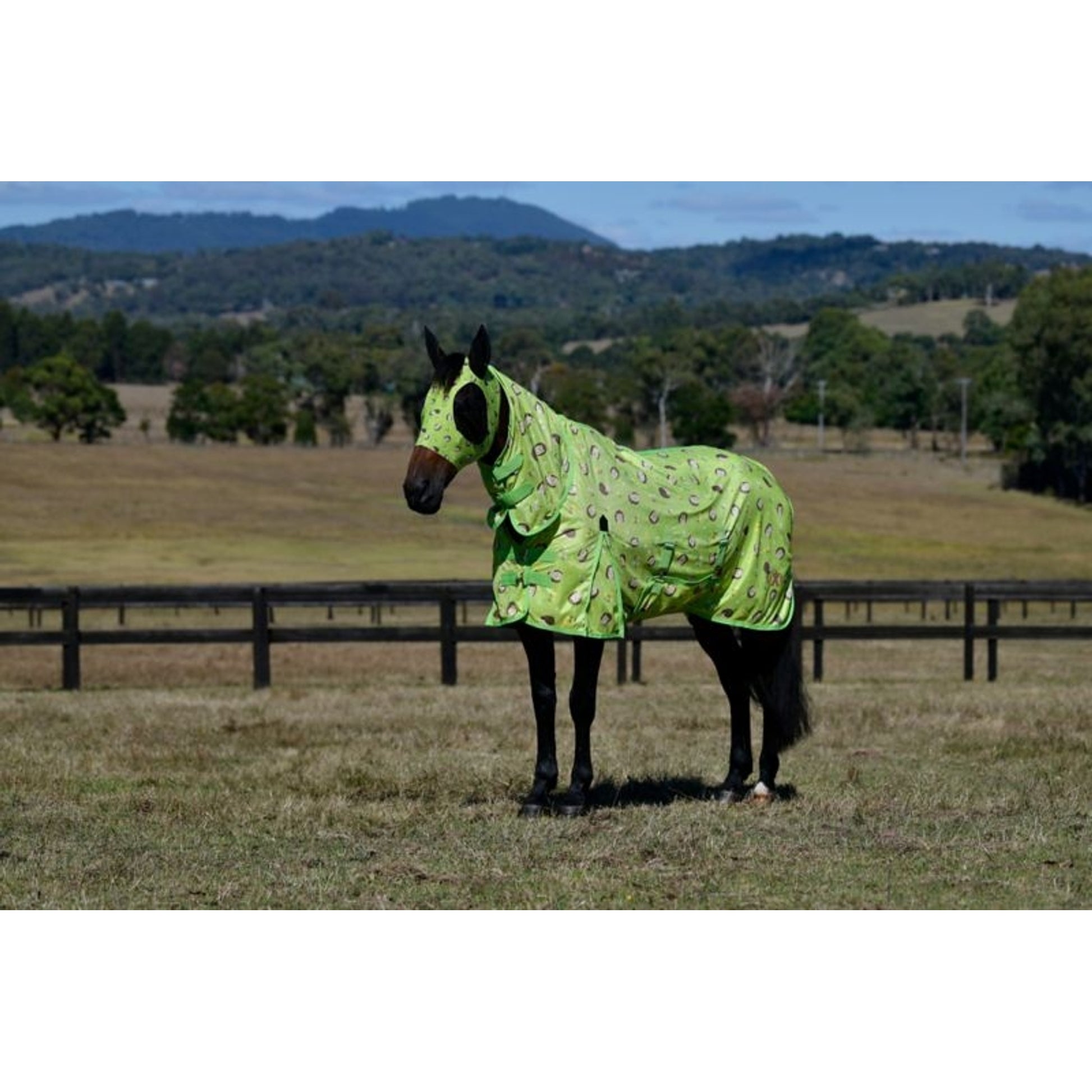 Saxon Mesh Combo Neck Fly Sheet