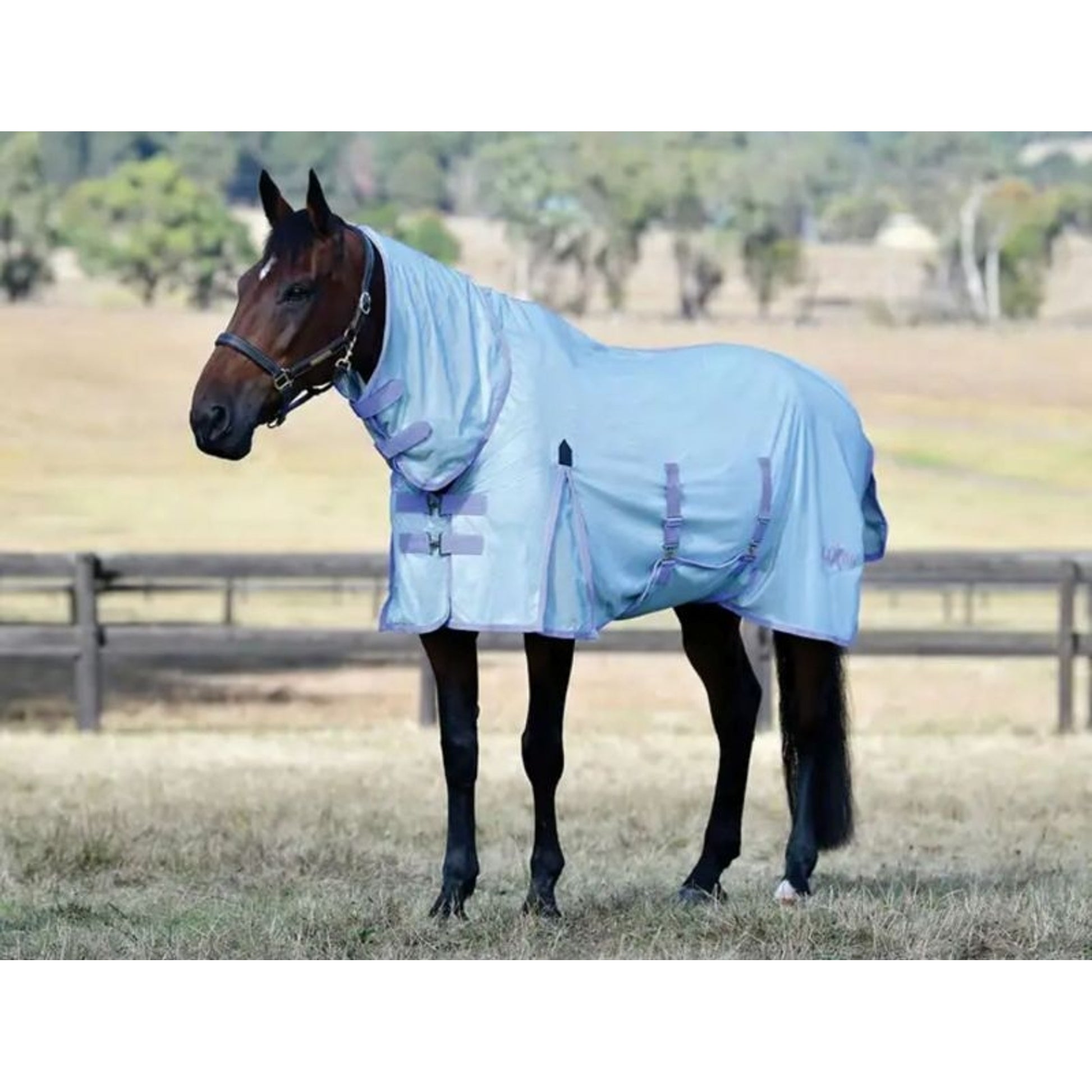 Saxon Mesh Combo Neck Fly Sheet