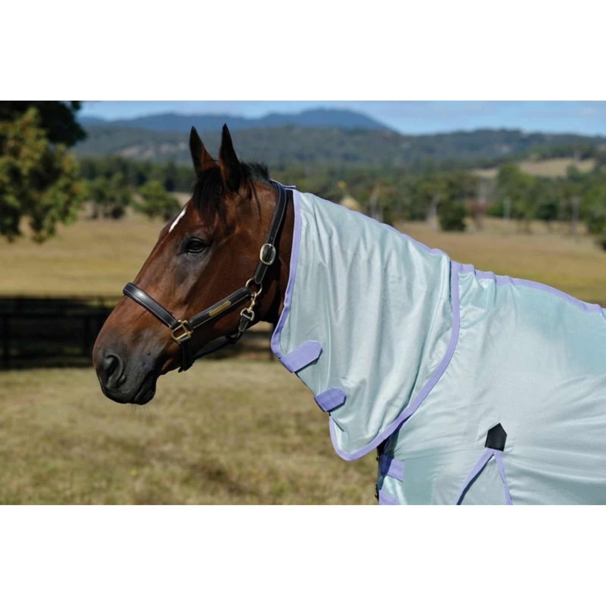 Saxon Mesh Combo Neck Fly Sheet