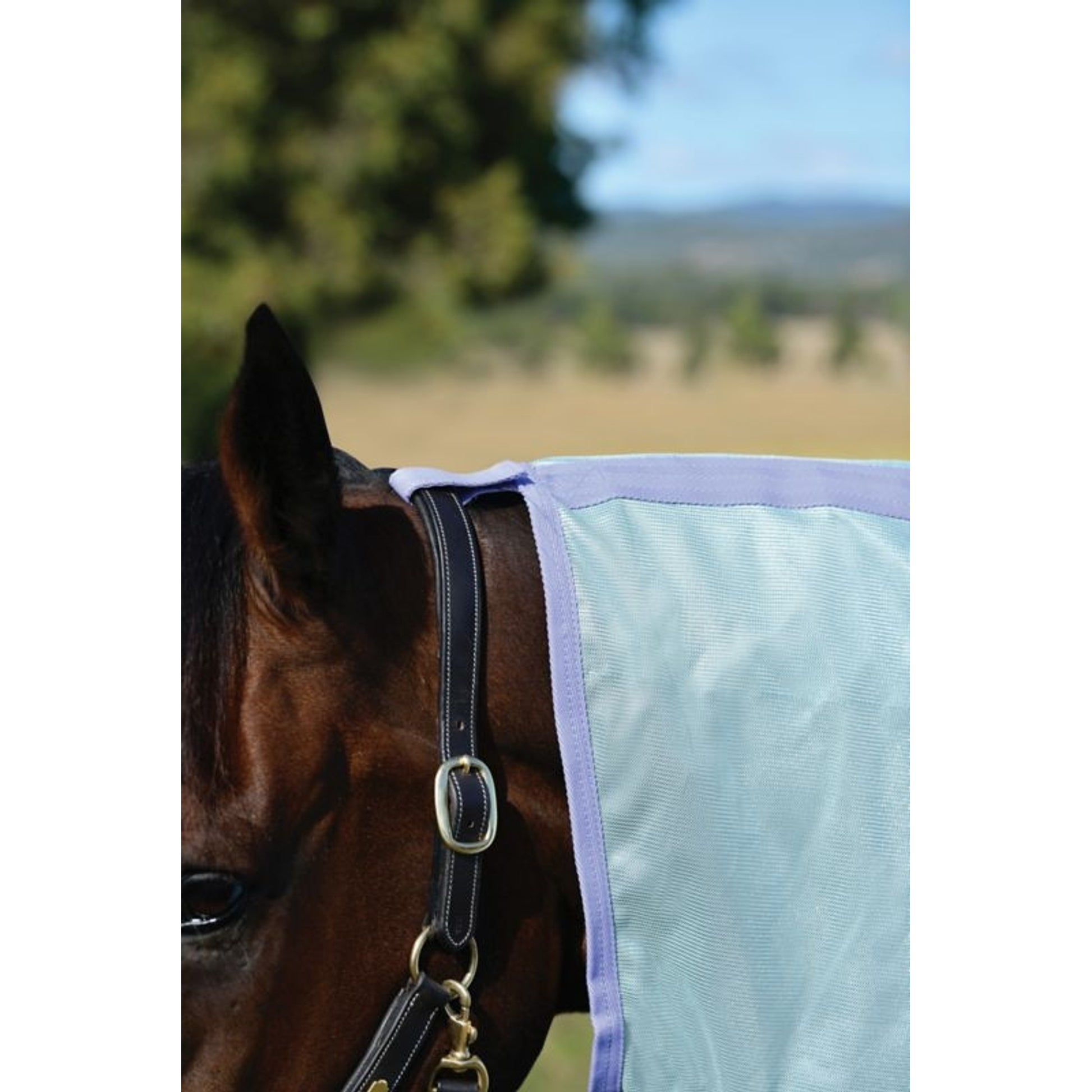 Saxon Mesh Combo Neck Fly Sheet