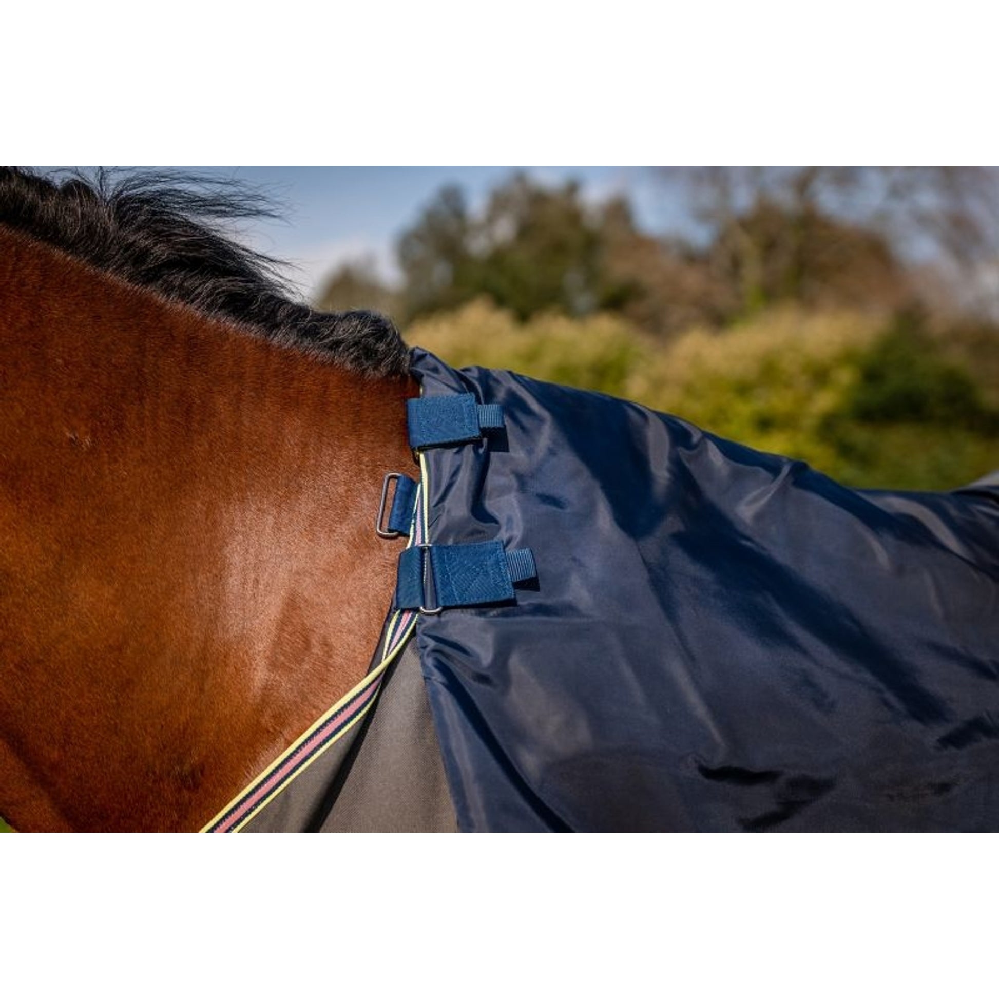 Amigo Bravo 12 Plus Turnout Bundle