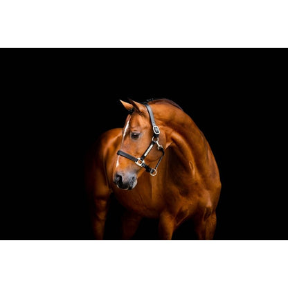 Horseware Signature Leather Halter