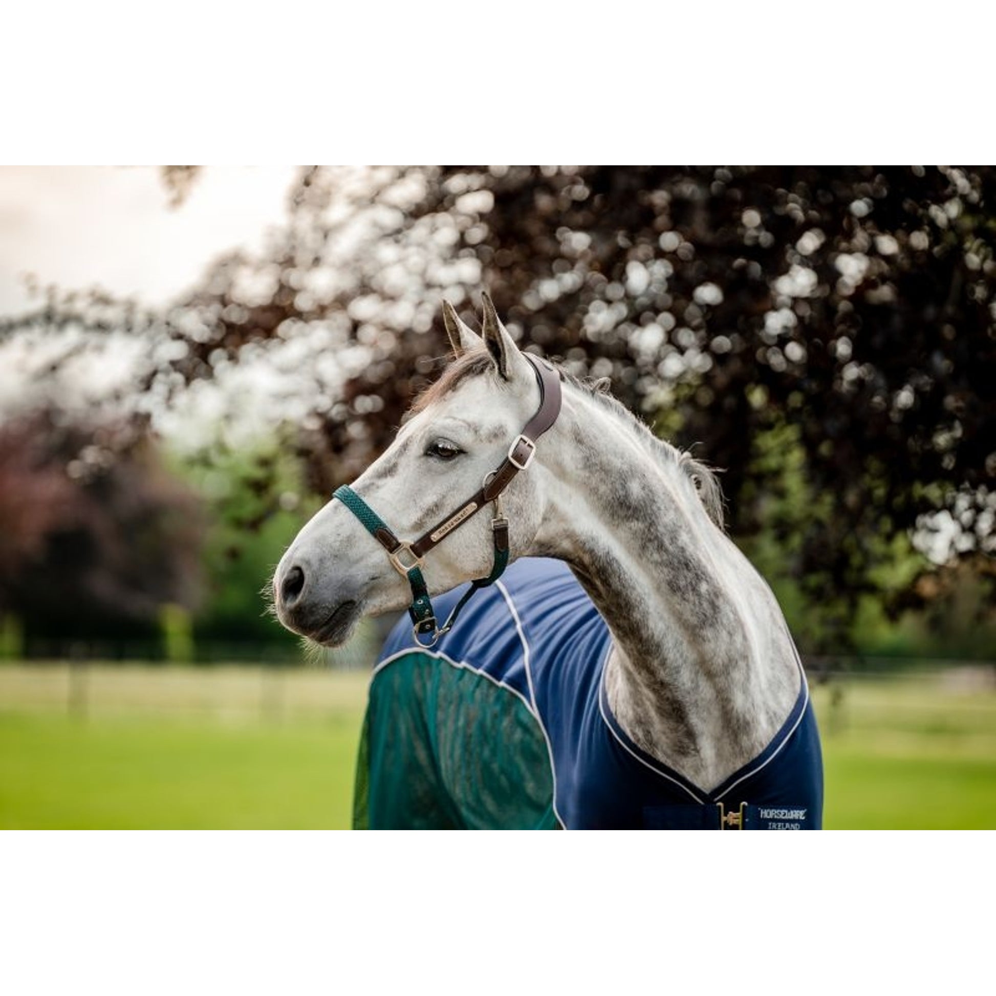 Horseware Sig Braided Halter
