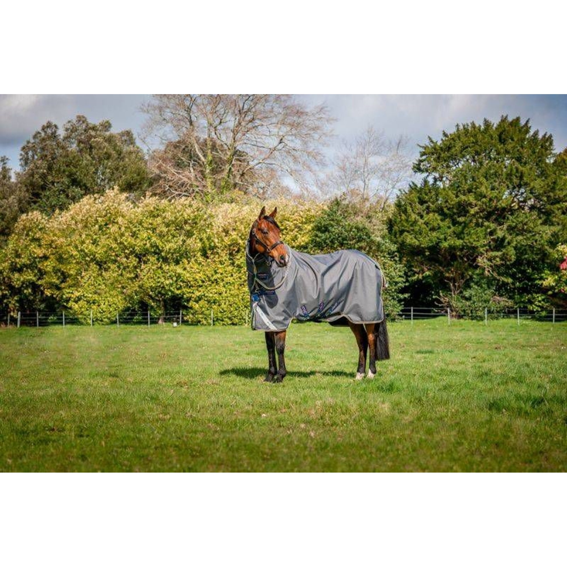 Amigo Bravo 12 Plus Sheet Pony