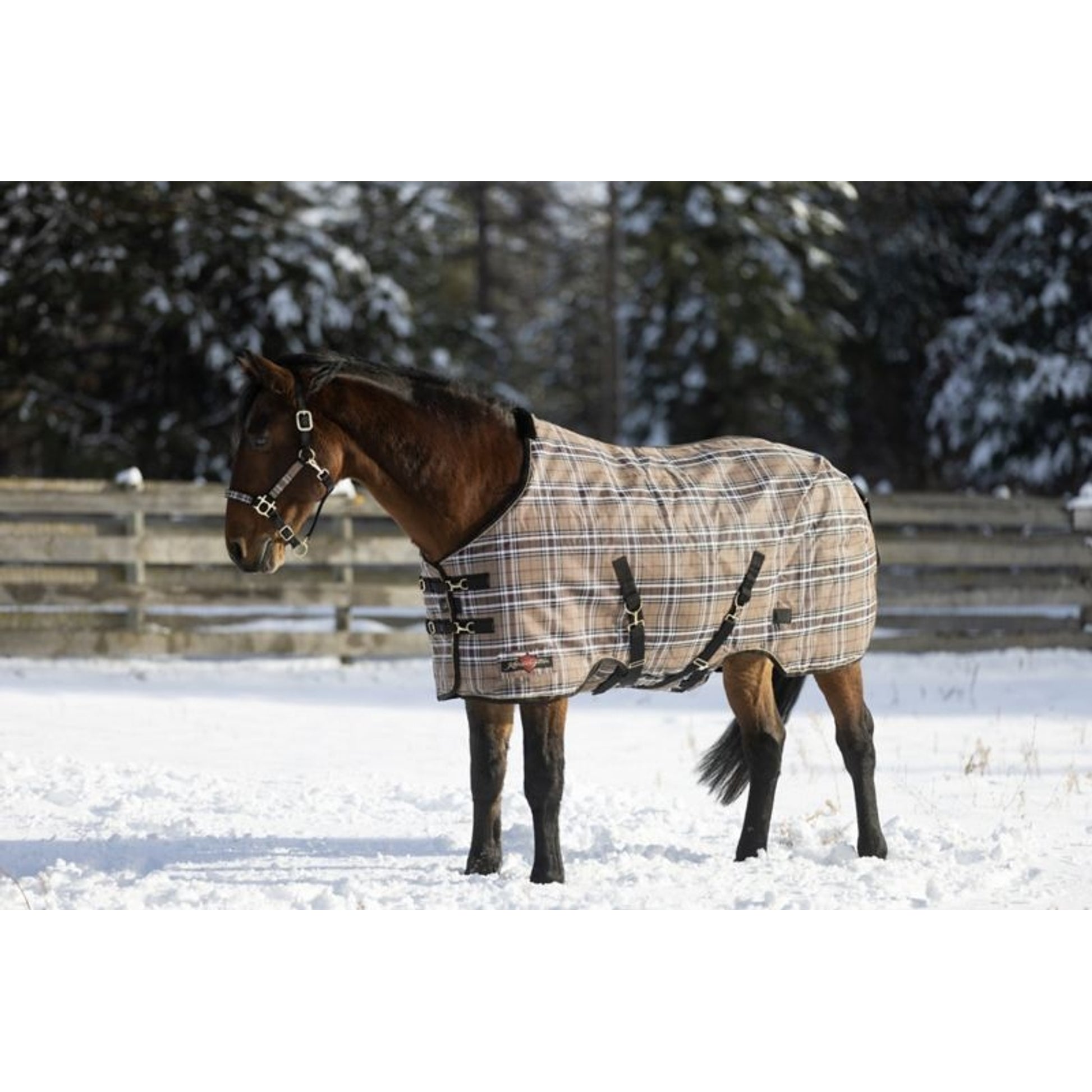 Kensington SuperMesh Turnout 300G
