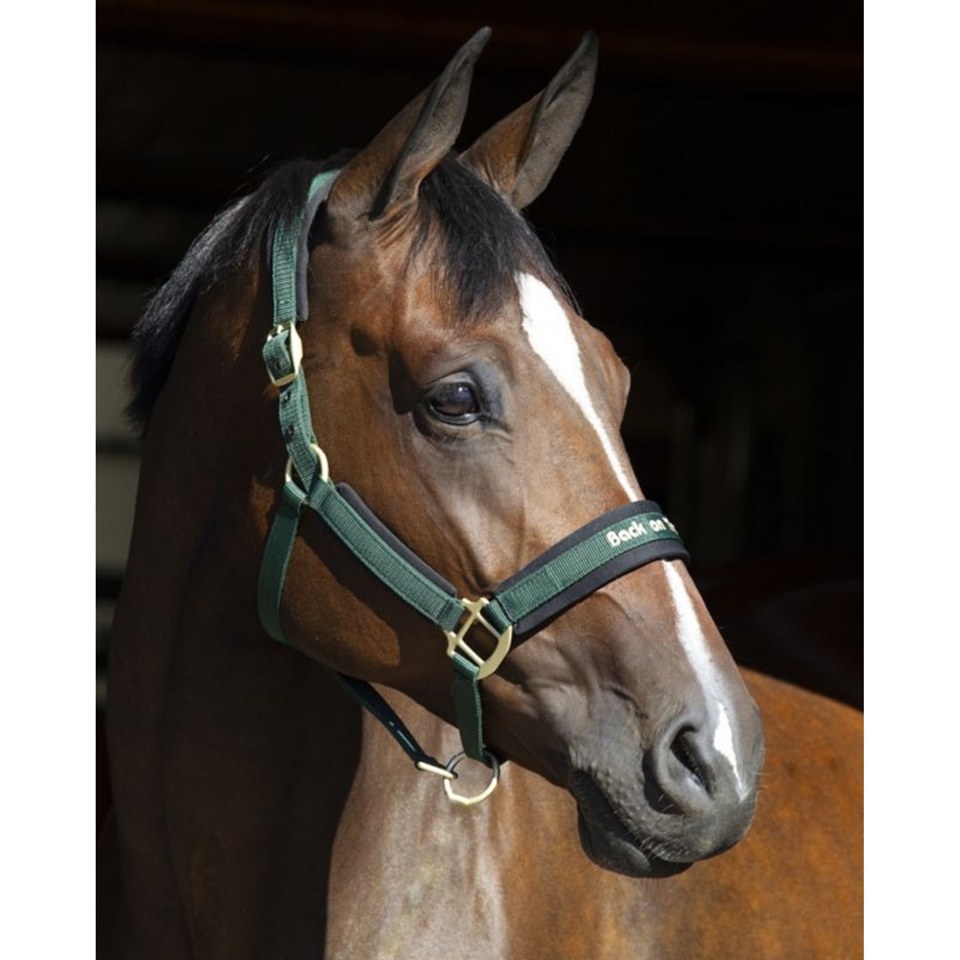 Back on Track Werano Halter