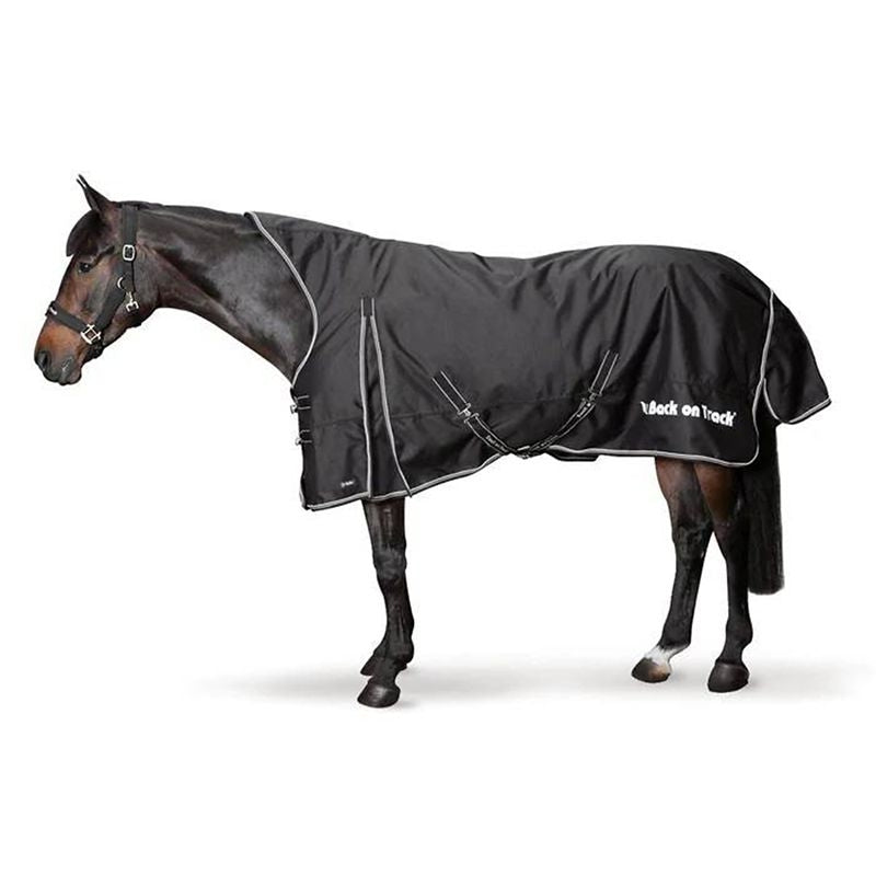 Back on Track Brianna Turnout Blanket