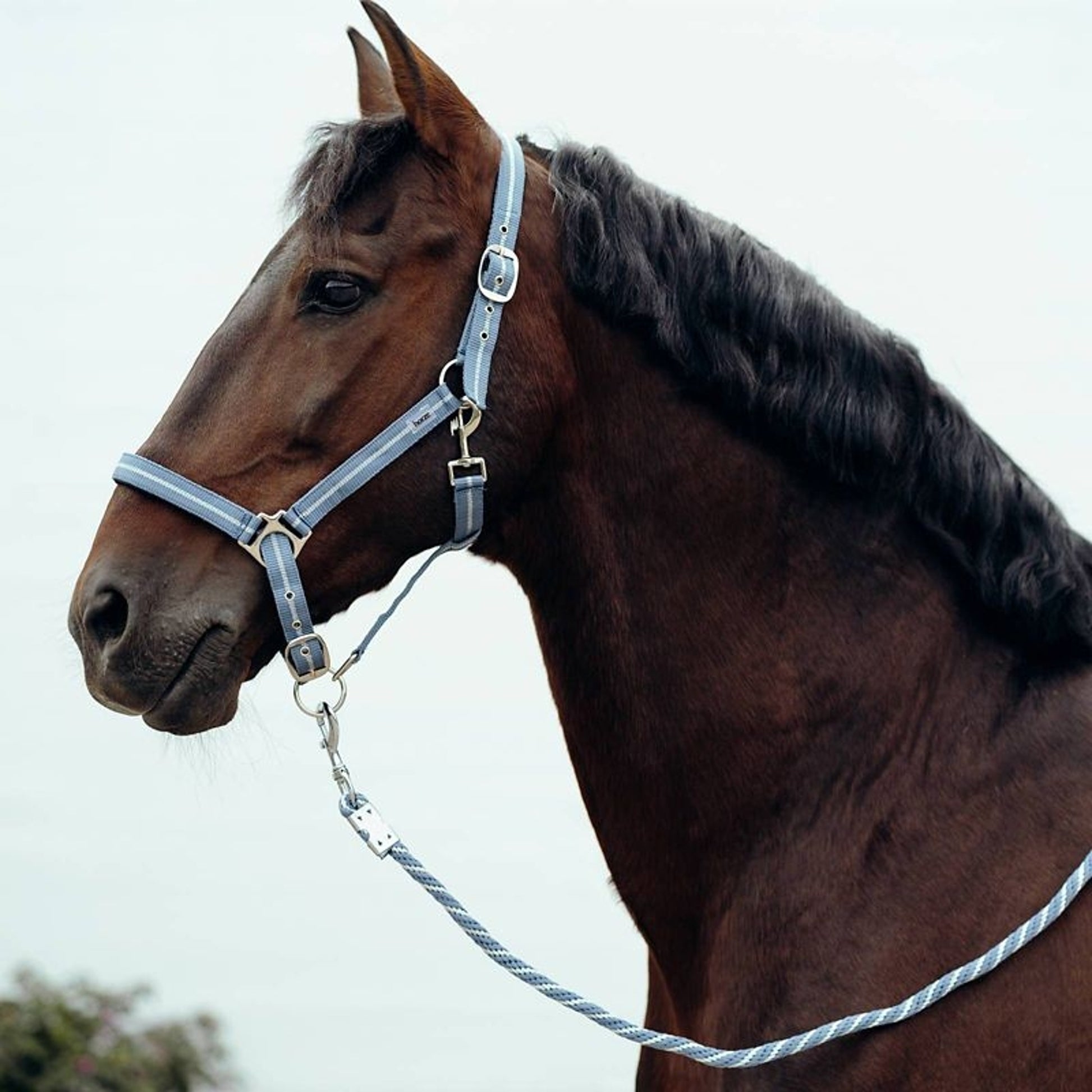 Horze Lurex Glitter Halter/Lead