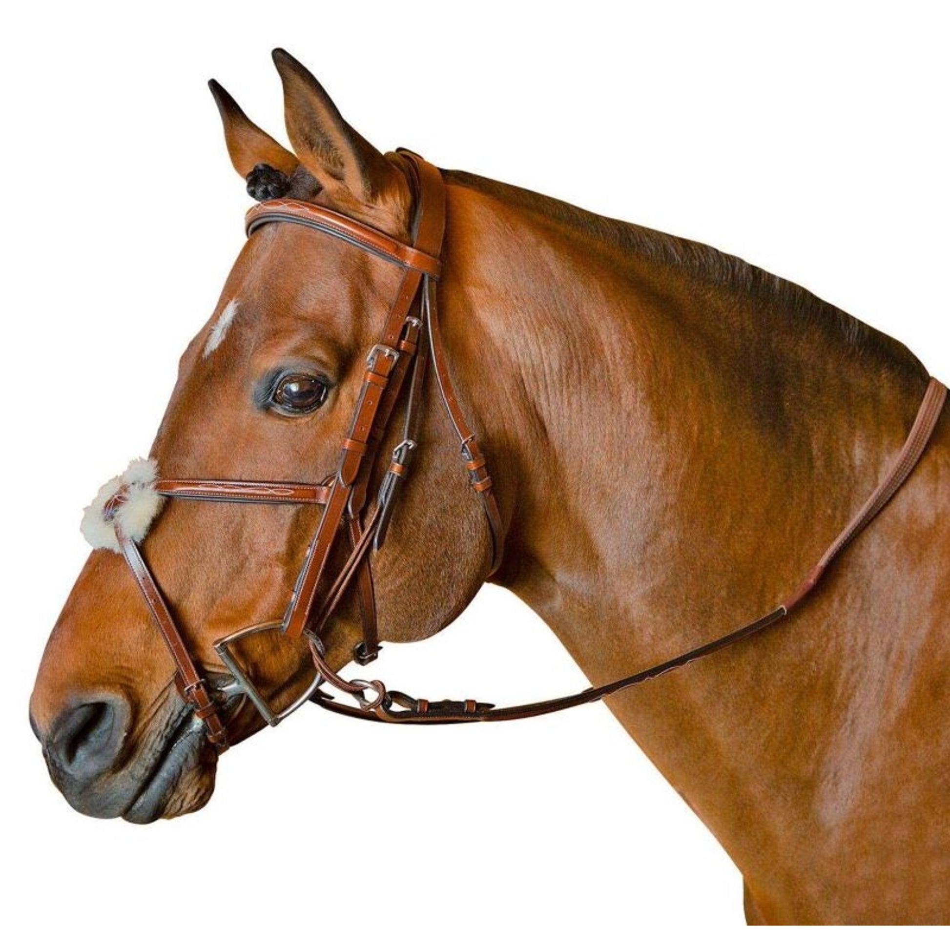 M. Toulouse Jumper Training Bridle
