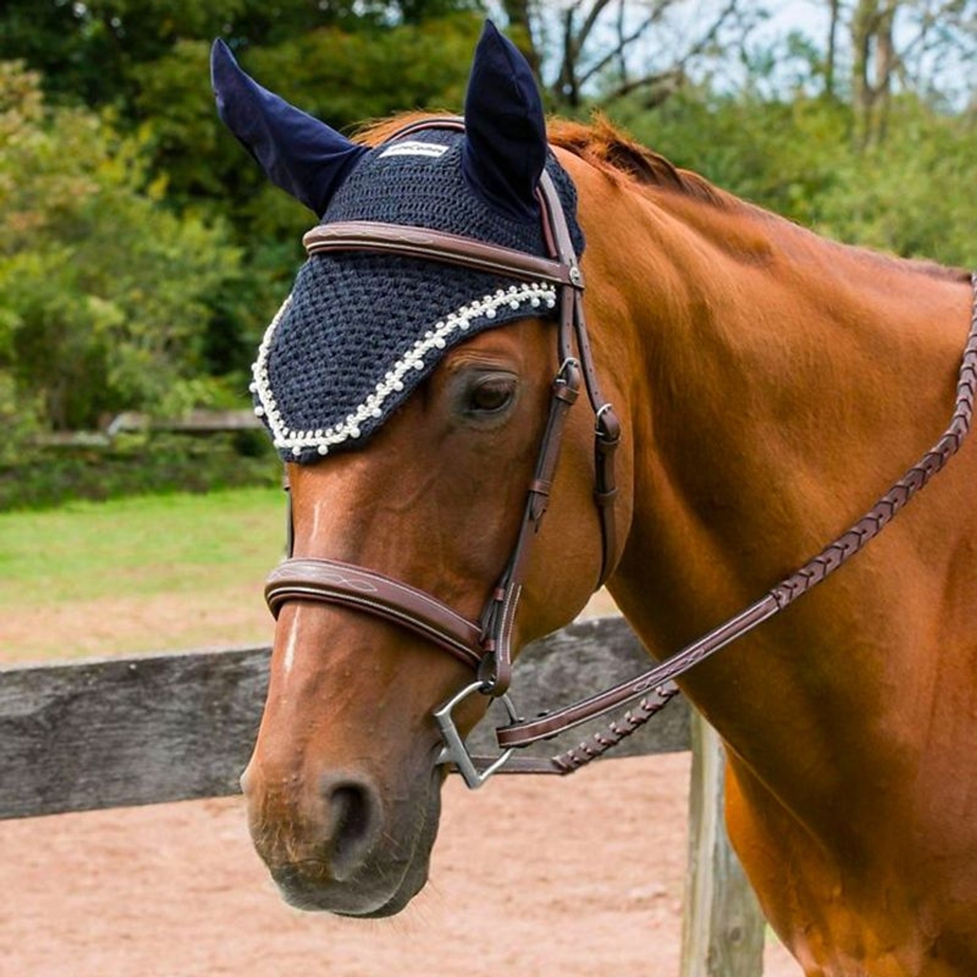 Equine Couture Fly Bonnet with Pearls and Crystals