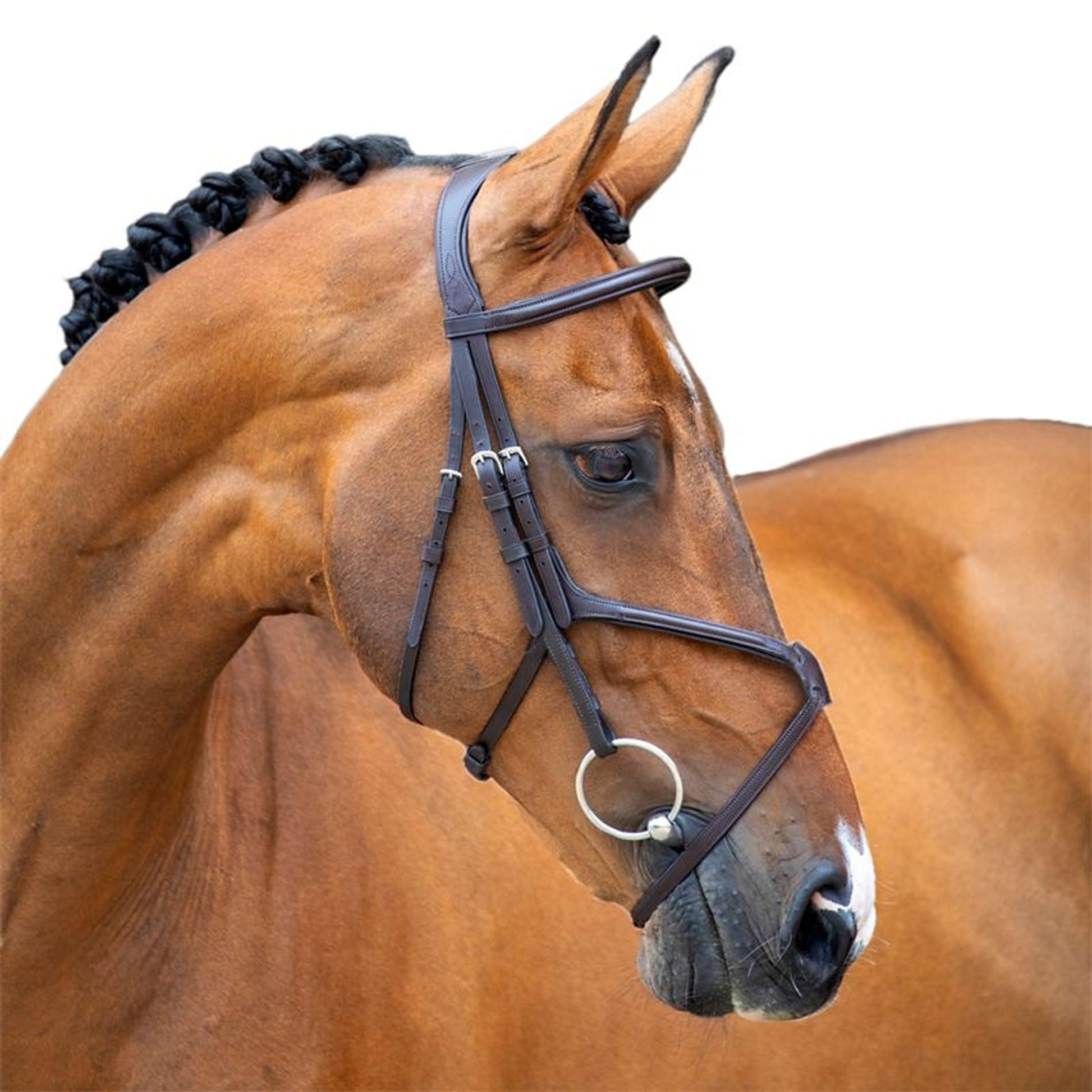 Shires Velociti Lusso Grackle Bridle