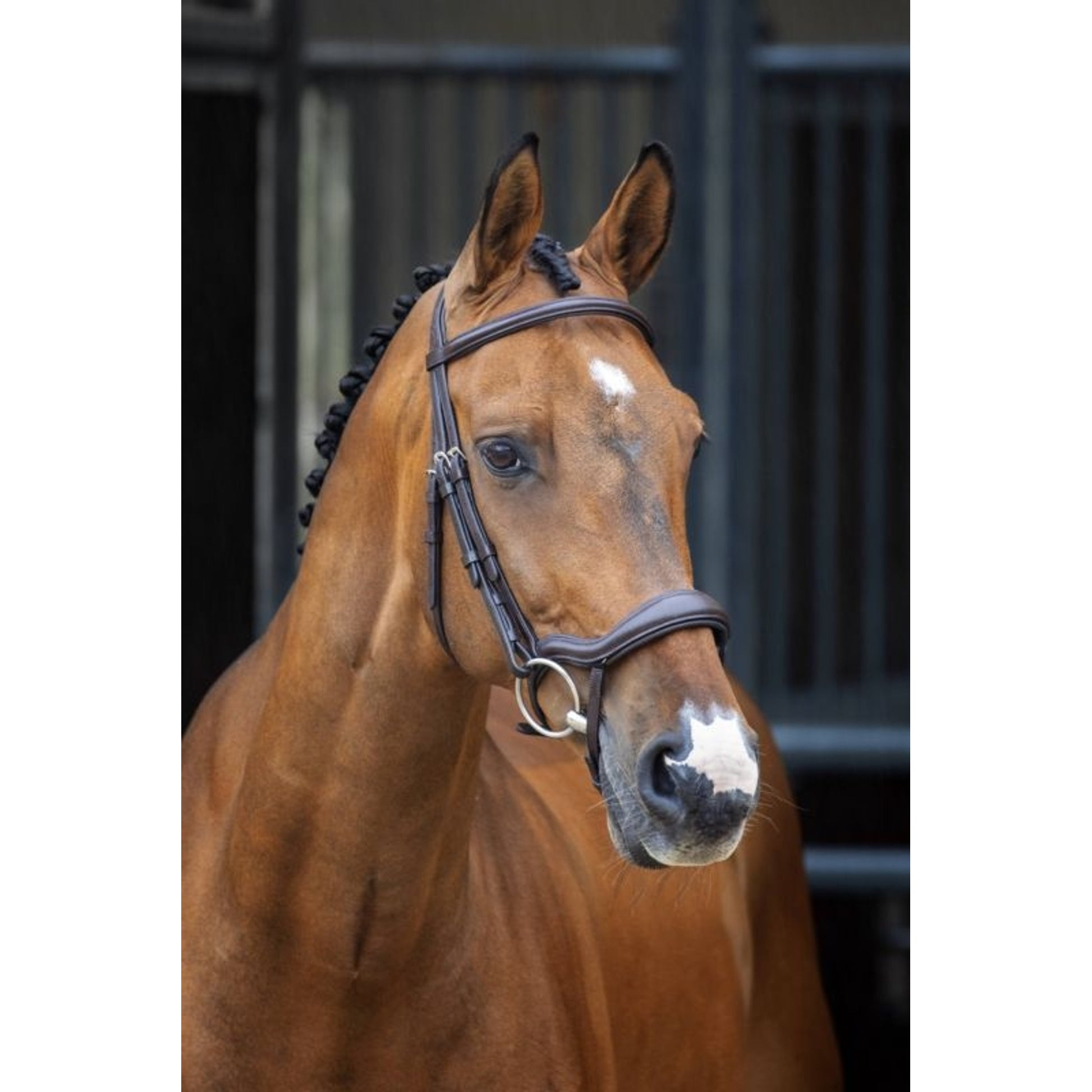 Shires Velociti Lusso Ergonomic Flash Bridle