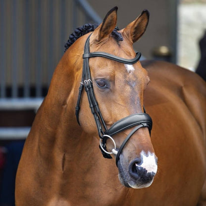 Shires Velociti Lusso Dressage Flash Bridle