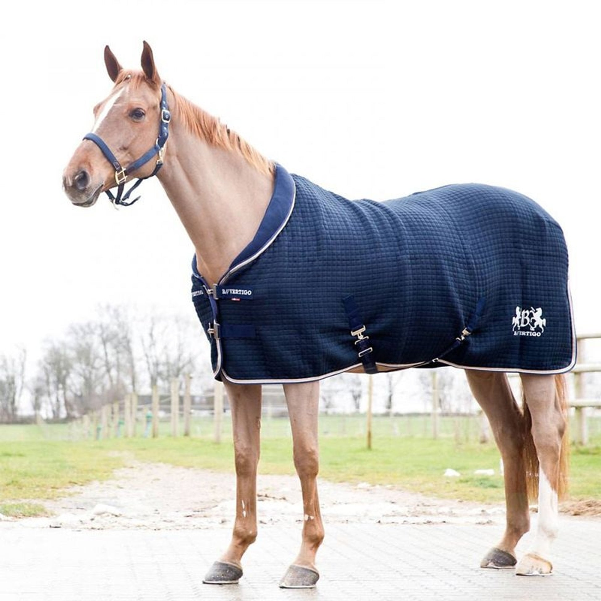 B Vertigo Theo Thermo Wool/Acrylic Stable Blanket