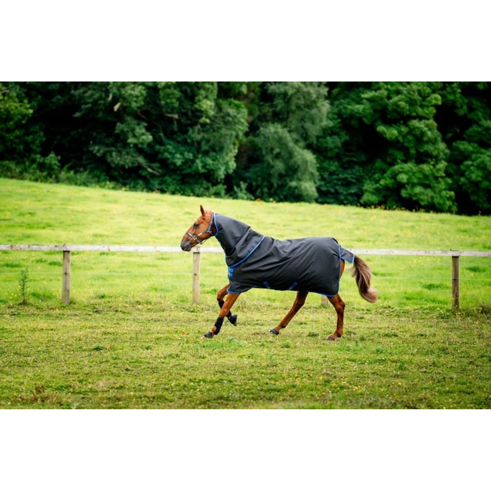 Amigo Ripstop 900 Plus Turnout 200g